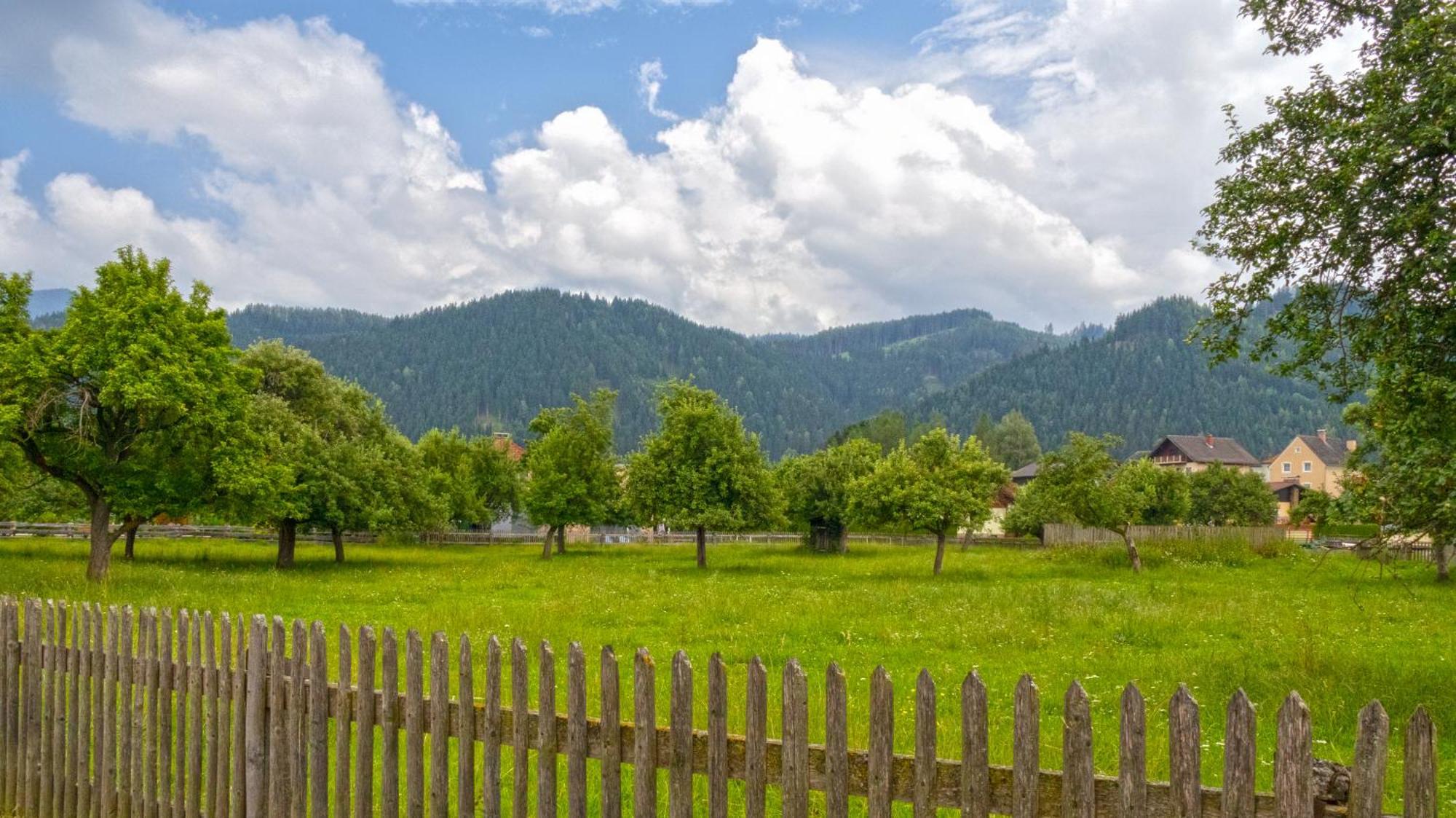 Flat Bull Appartement Mit Garten Sankt Lorenzen bei Knittelfeld Eksteriør bilde